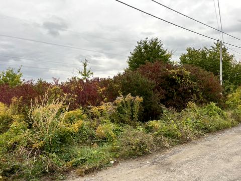 ділянка за адресою Юності вул.