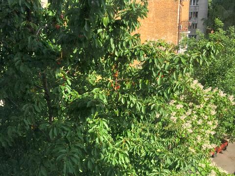 квартира по адресу Александра Конисского ул., 37/41