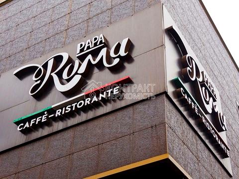 коммерческая по адресу Григория Сковороды ул. (Пушкинская), 79б