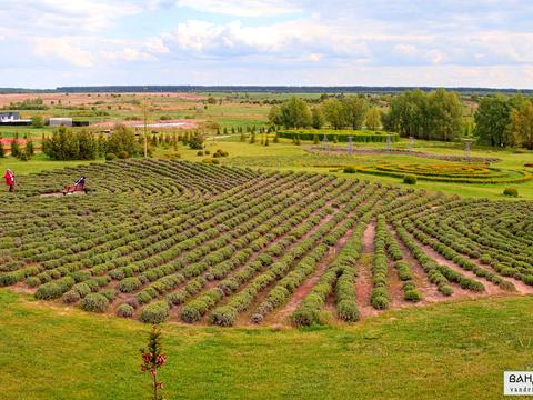 ділянка за адресою Хутір Надія, 27