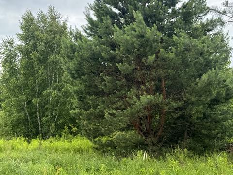 участок по адресу Луговий