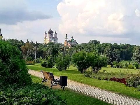 ділянка за адресою Князькіна