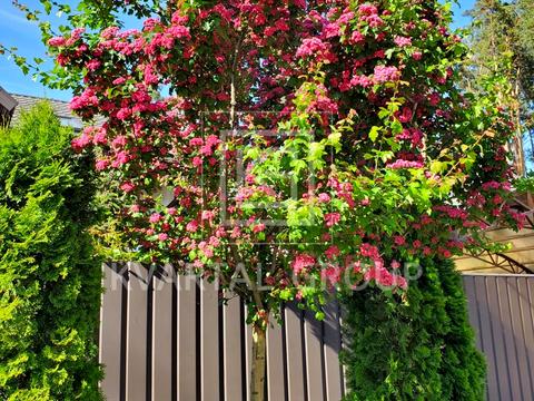 будинок за адресою Шевченка вул., 4