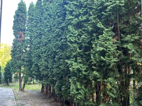 дом по адресу Октябрьская ул.