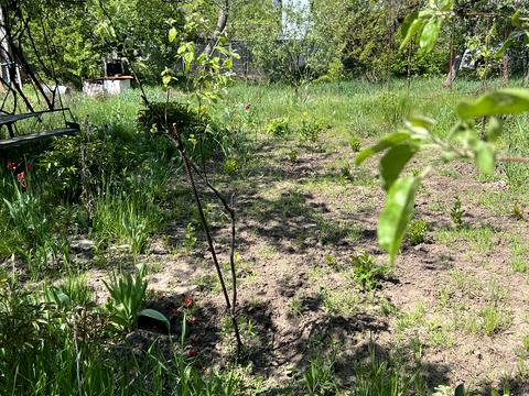 участок по адресу пгт. Малая Даниловка, 