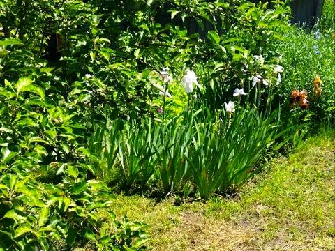 будинок за адресою перемоги, 10