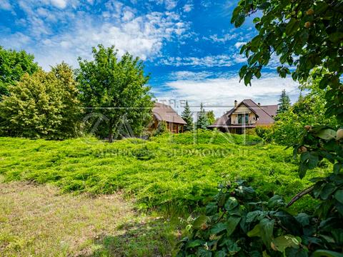 дом по адресу с. Вишенки, Придніпровська