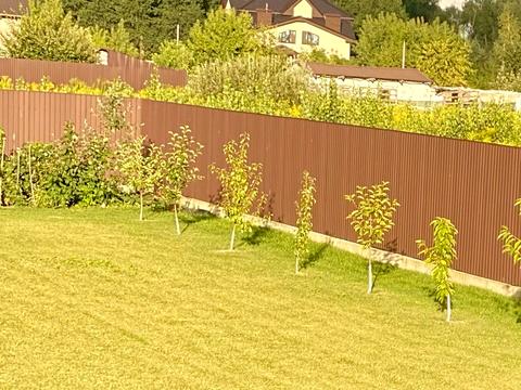 будинок за адресою Довженко