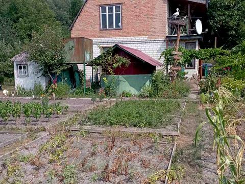 будинок за адресою с. Хвильово-Сорочин, Перемоги