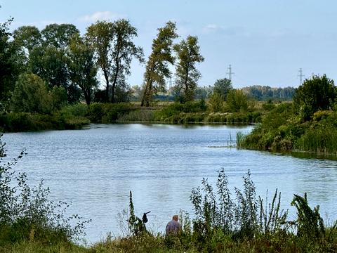 будинок за адресою Старе Село вул.