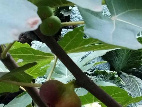 будинок за адресою Харків, Рудаківська вул.