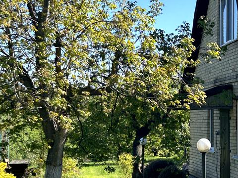 будинок за адресою Свободи, 8