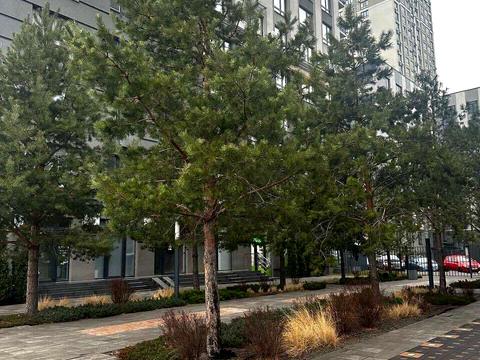 квартира за адресою Кам'янська вул. (Дніпродзержинська), 6