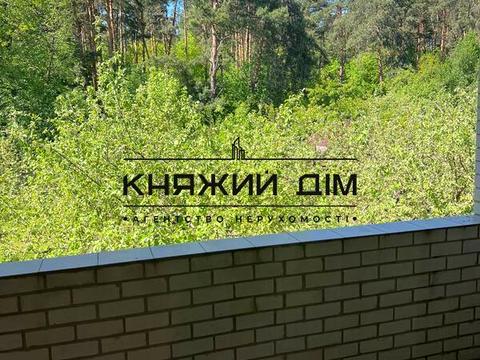 будинок за адресою Нагірна, 31