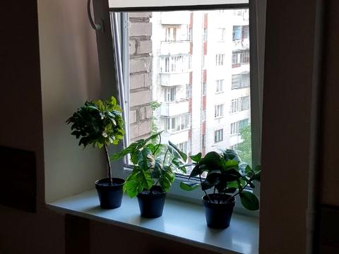 квартира за адресою Варшавська вул., 67