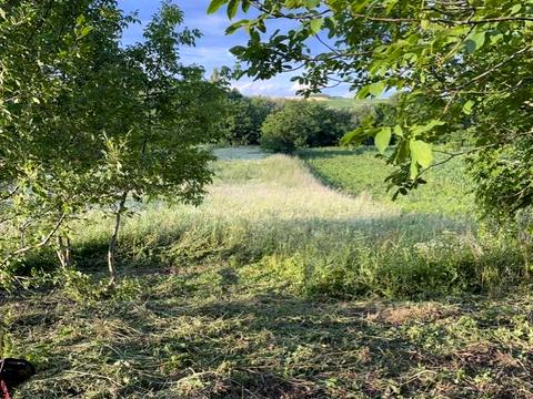 будинок за адресою с. Рідківці, Кобилянська