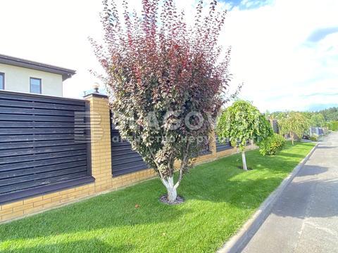 будинок за адресою Пушкіна, 9а