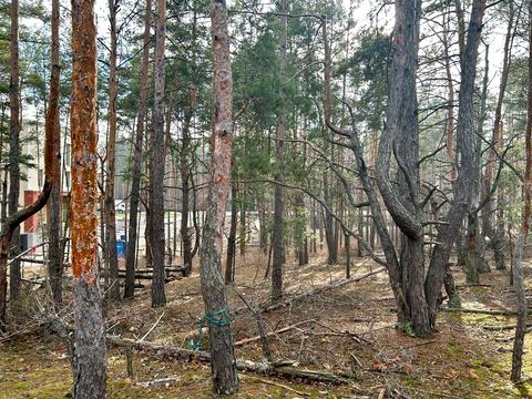 участок по адресу Кільцева