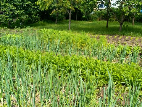 будинок за адресою Центральна вул., 15