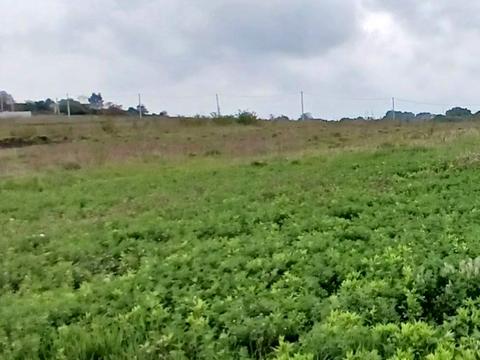 ділянка за адресою Гвардійська
