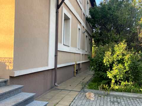 дом по адресу Лісова ул., 52