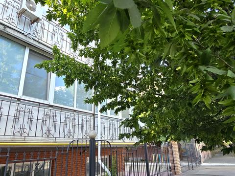 квартира по адресу Николаев, Кузнецкая ул. (Скороходова), 56а