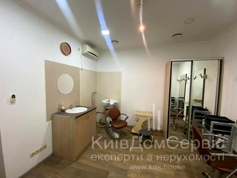 комерційна за адресою Євгена Чикаленка вул. (Пушкінська), 12-А