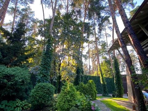 будинок за адресою Лісова вул.