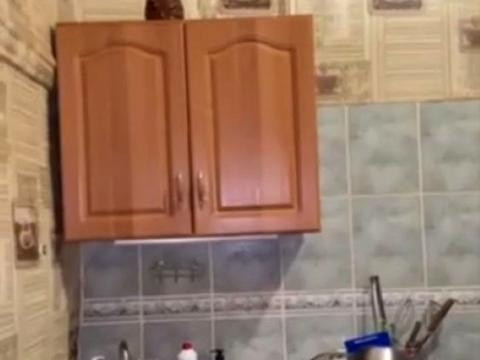 квартира за адресою Миколаївська дорога вул., 261