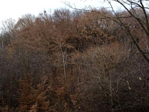 дом по адресу Дачний масив