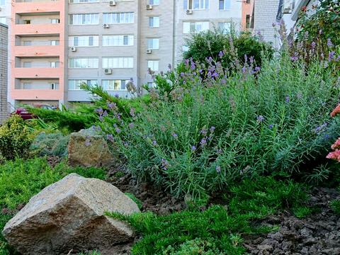 квартира по адресу Дмитрия Кедрина ул. (Дмитрия Кедрина), 53-А