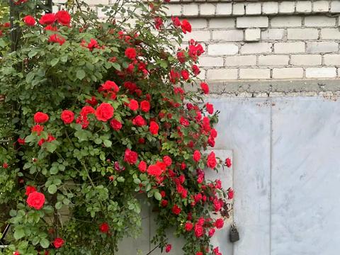 будинок за адресою 1-й пр. Спаський