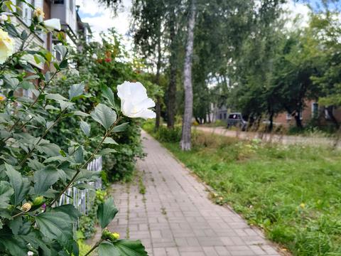 квартира за адресою Вільного козацтва, 17