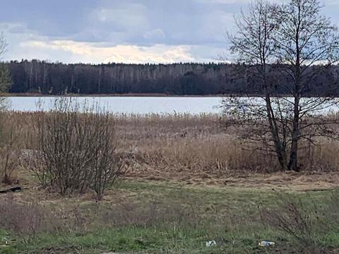 ділянка за адресою Річкова