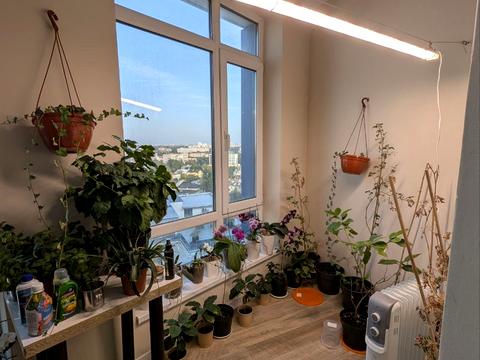 квартира за адресою Кульпарківська вул., 64