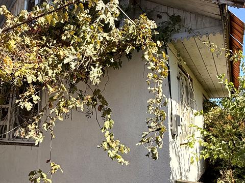 будинок за адресою с. Єлизаветівка, Садова
