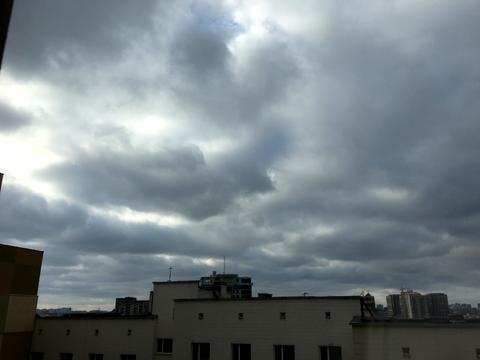 квартира по адресу Евгения Коновальца ул. (Щорса), 36-Е