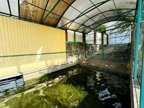 дом по адресу Київський провулок, 111