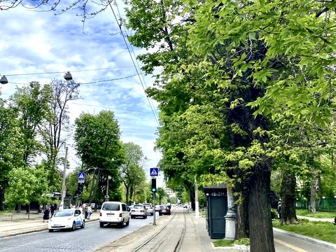 дом по адресу Французский бульв.