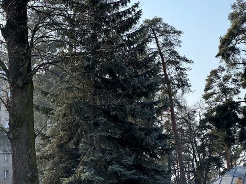 будинок за адресою Ніжинська вул.