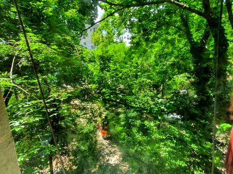 квартира по адресу Фонтанская дорога ул., 4