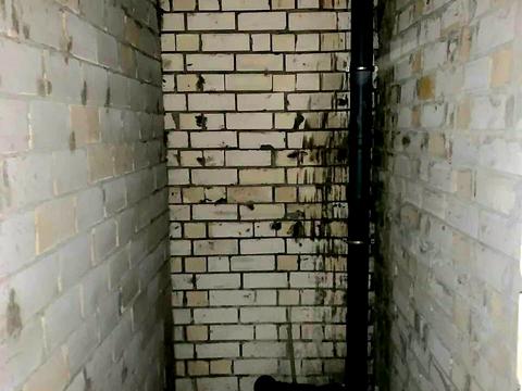 квартира за адресою Михайла Лушпи просп., 5