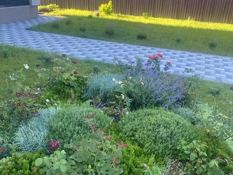 будинок за адресою Довженко