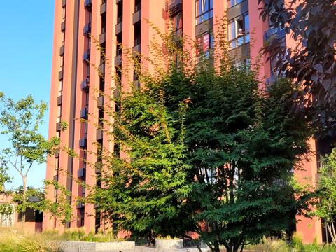 квартира по адресу Набережно-Рыбальская ул., 27