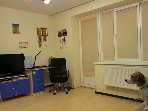 квартира за адресою Пасічна вул., 171