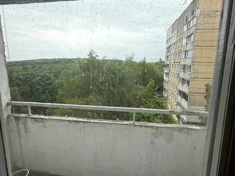 квартира по адресу Шафарика ул. (Рагузова), 6