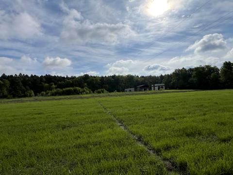 участок по адресу 