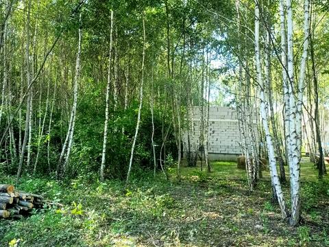 ділянка за адресою Михайла Зорія