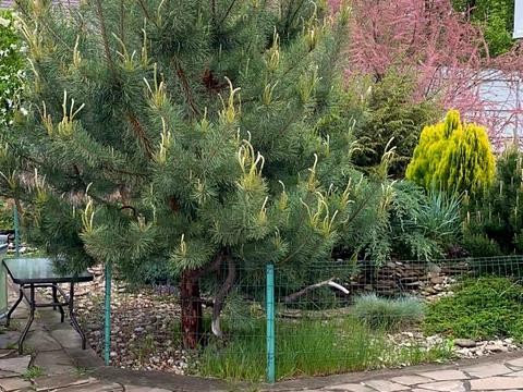 будинок за адресою Котляревського