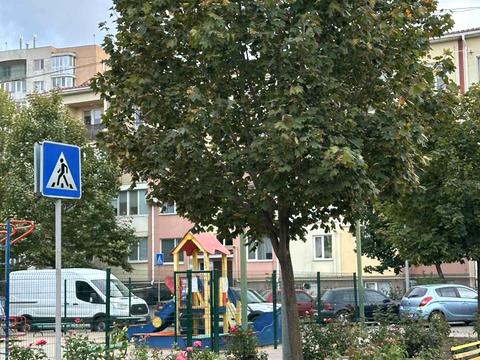 квартира за адресою Проїзна вул., 12
